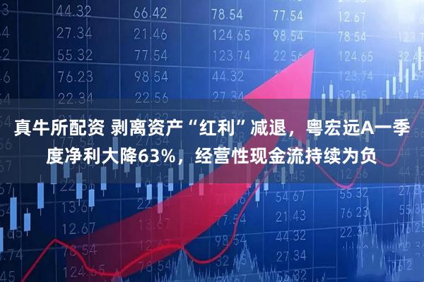 真牛所配资 剥离资产“红利”减退，粤宏远A一季度净利大降63%，经营性现金流持续为负